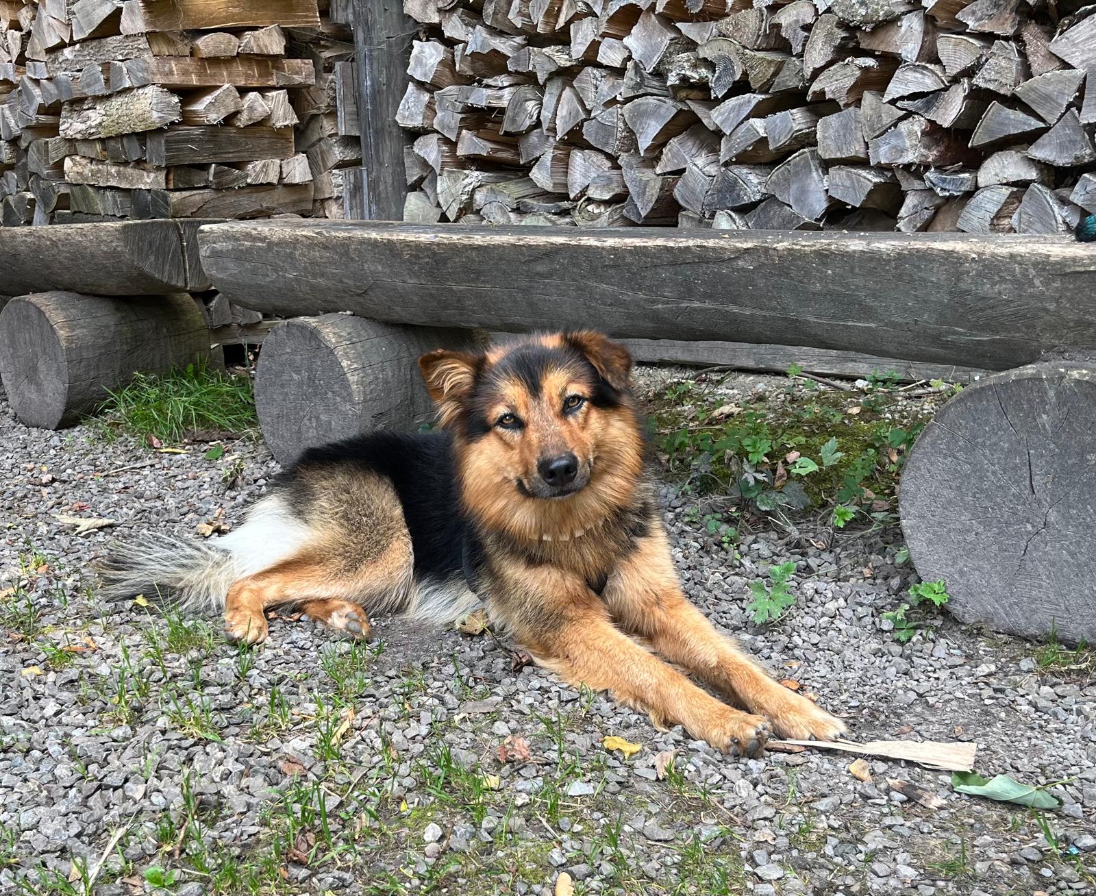 Start page image for sales-partner's sales-channel